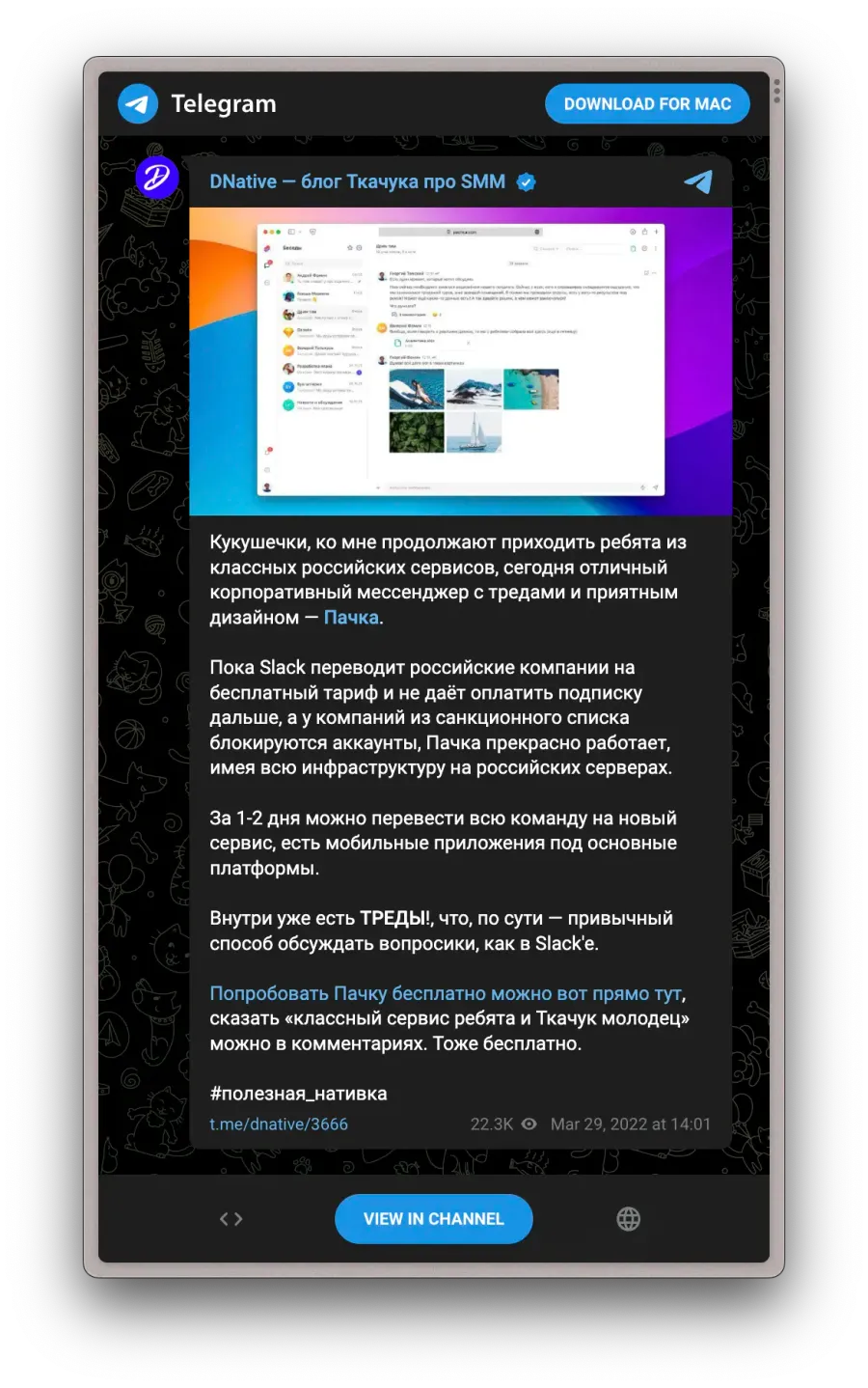 Telegram channel post about Pachca